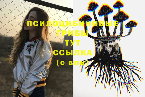 гидропоника Приозерск