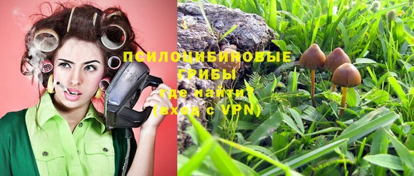 ешки Рославль