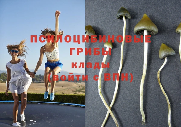 метадон Протвино