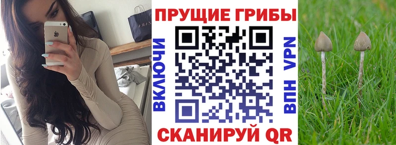 Галлюциногенные грибы GOLDEN TEACHER  купить   Ряжск 
